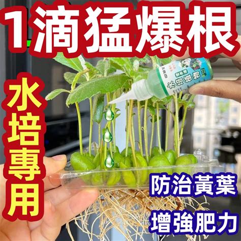 水培營養液|自製水培營養液：提升植物生長與產量的必備祕訣 